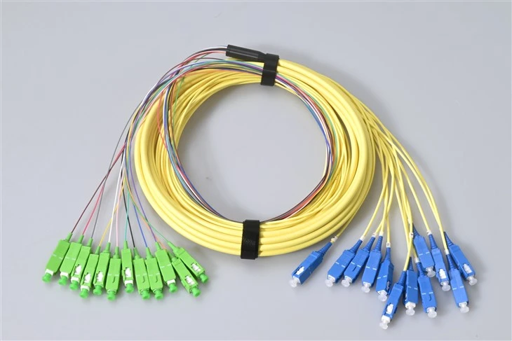 12 Core Patch Cord SC UPC - SC APC